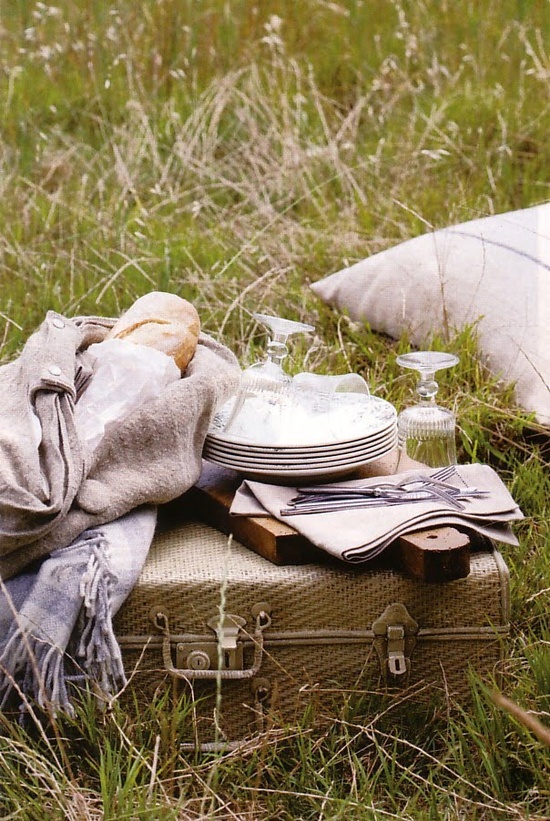 picnic14