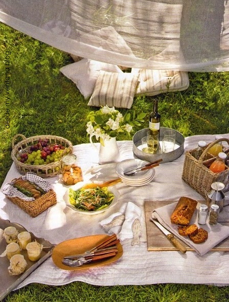 picnic20